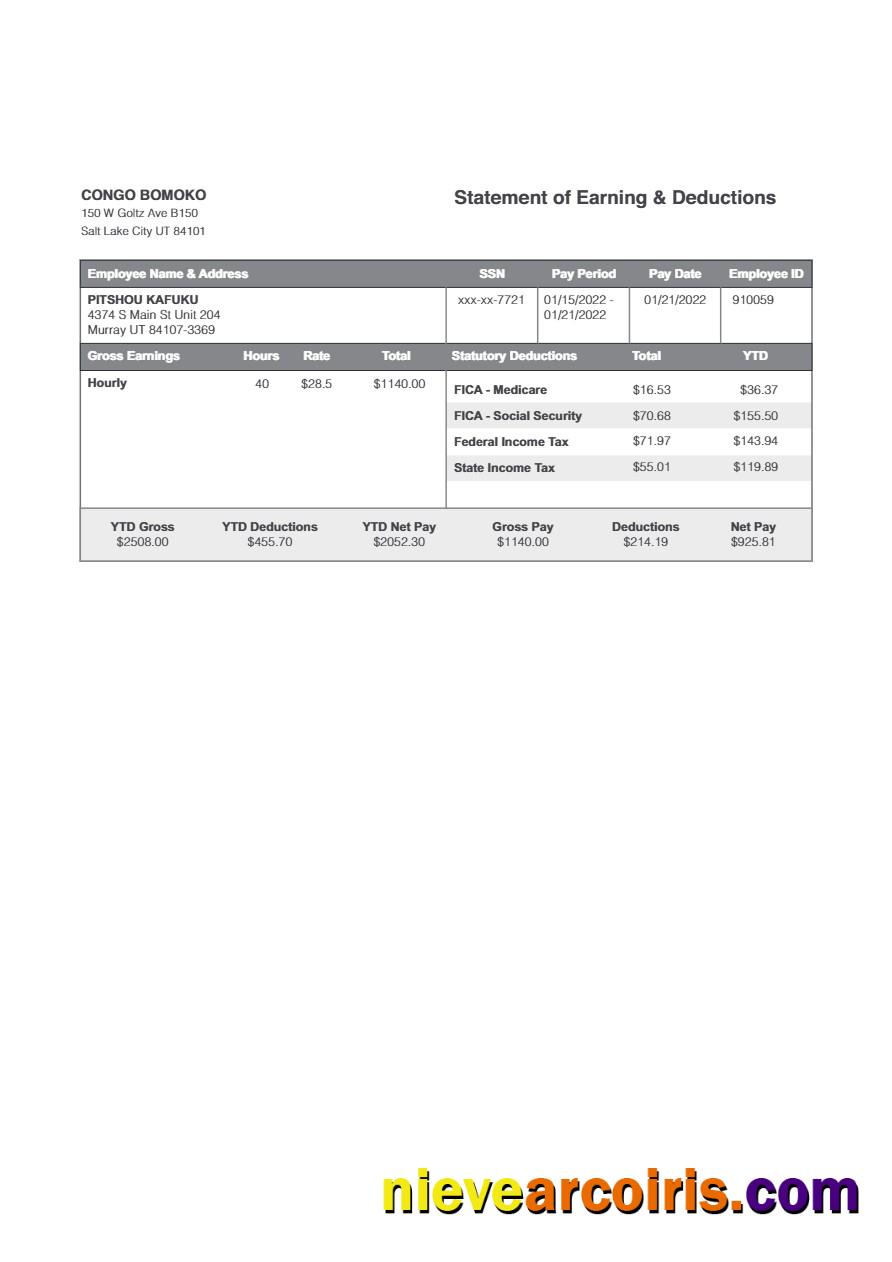 Congo Bomoko statement of earning & deductions 3